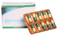 A amoxicilina marca as bactérias 500mg resistentes aos medicamentos antibióticas Semisynthetic